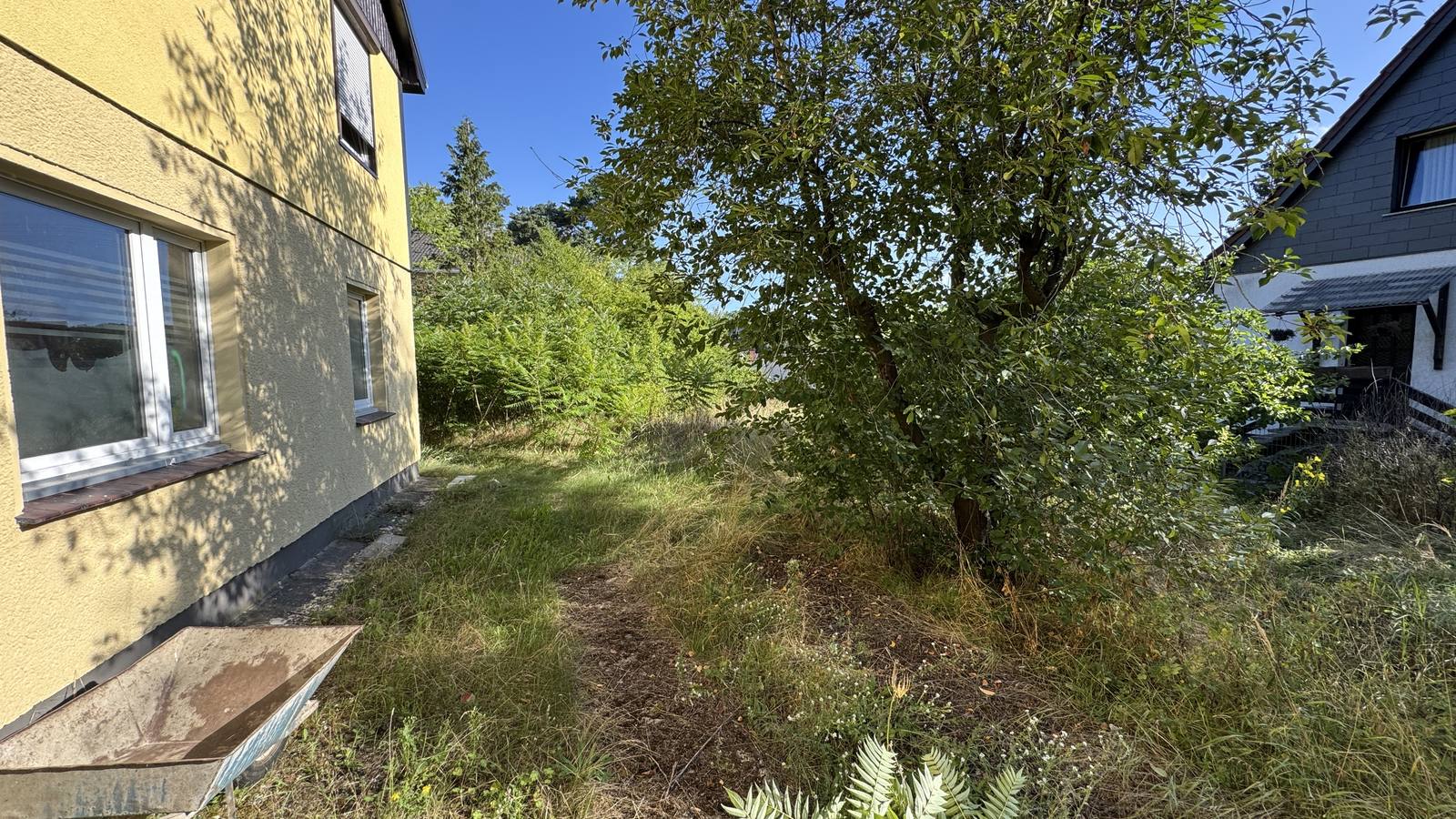 Verwildertes Grundstück freigeschnitten – Vorher